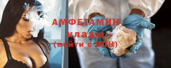 прущие грибы Абаза