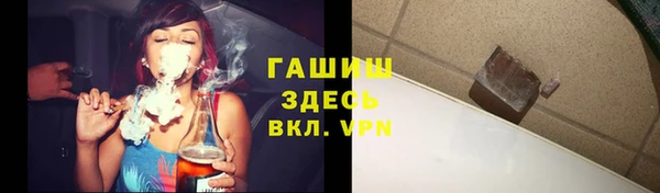 прущие грибы Абаза