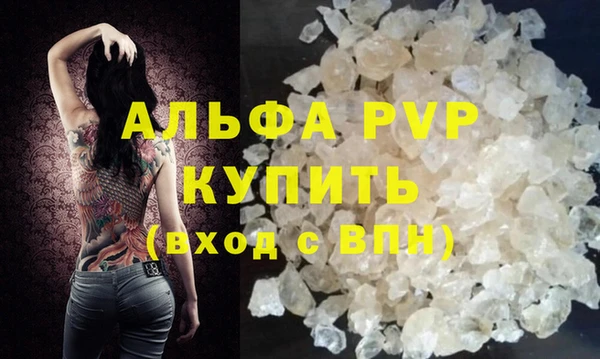 прущие грибы Абаза