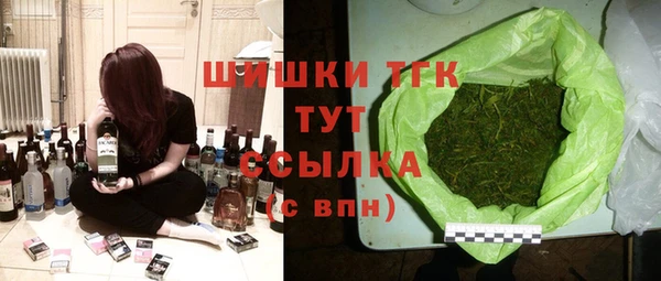 прущие грибы Абаза