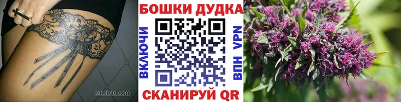 Шишки марихуана семена  omg вход  Краснодар 
